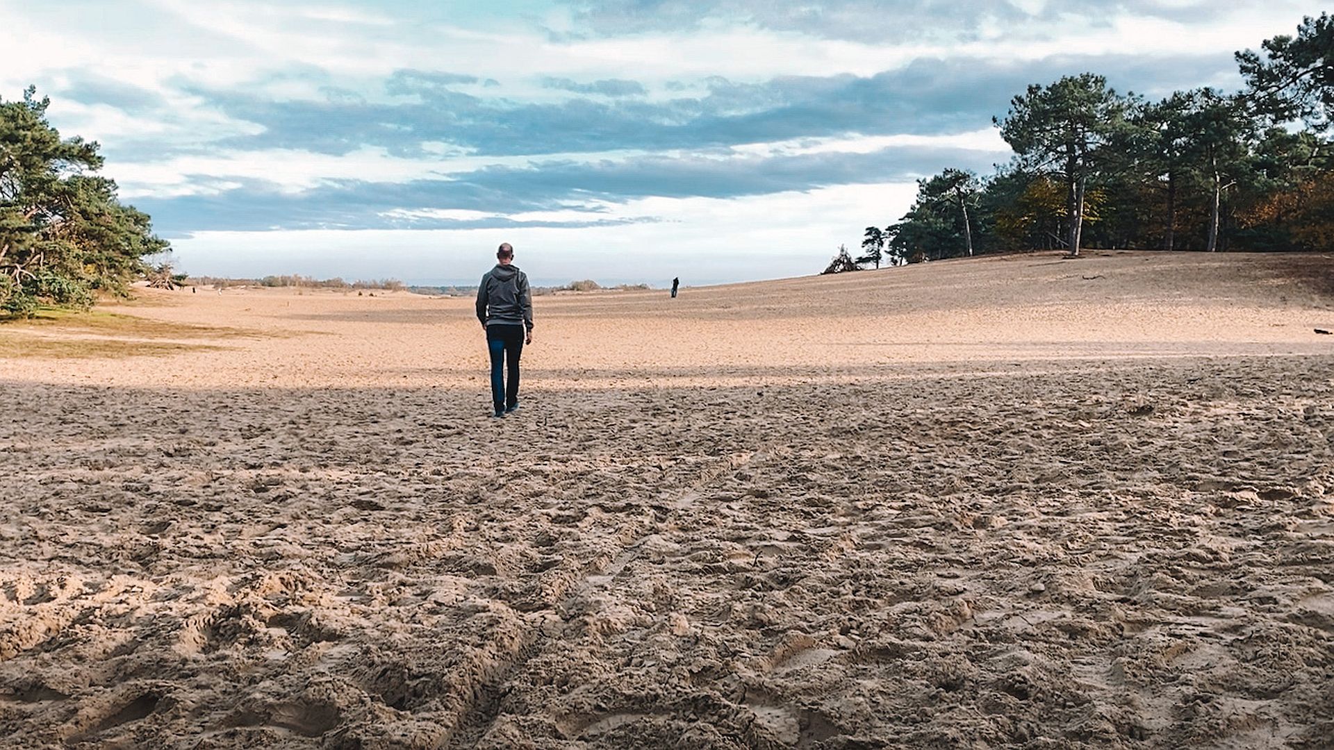 Vermiste man (26) in de Loonse en Drunense Duinen is gevonden